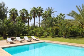 Pool - L'oiseau Jaune & Bleu Palmeraie 40 Sleeps (Marrakech)
