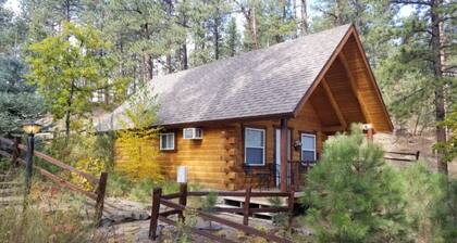Timber Ridge #4 Custom Built Log Cabin Near Mount Rushmore