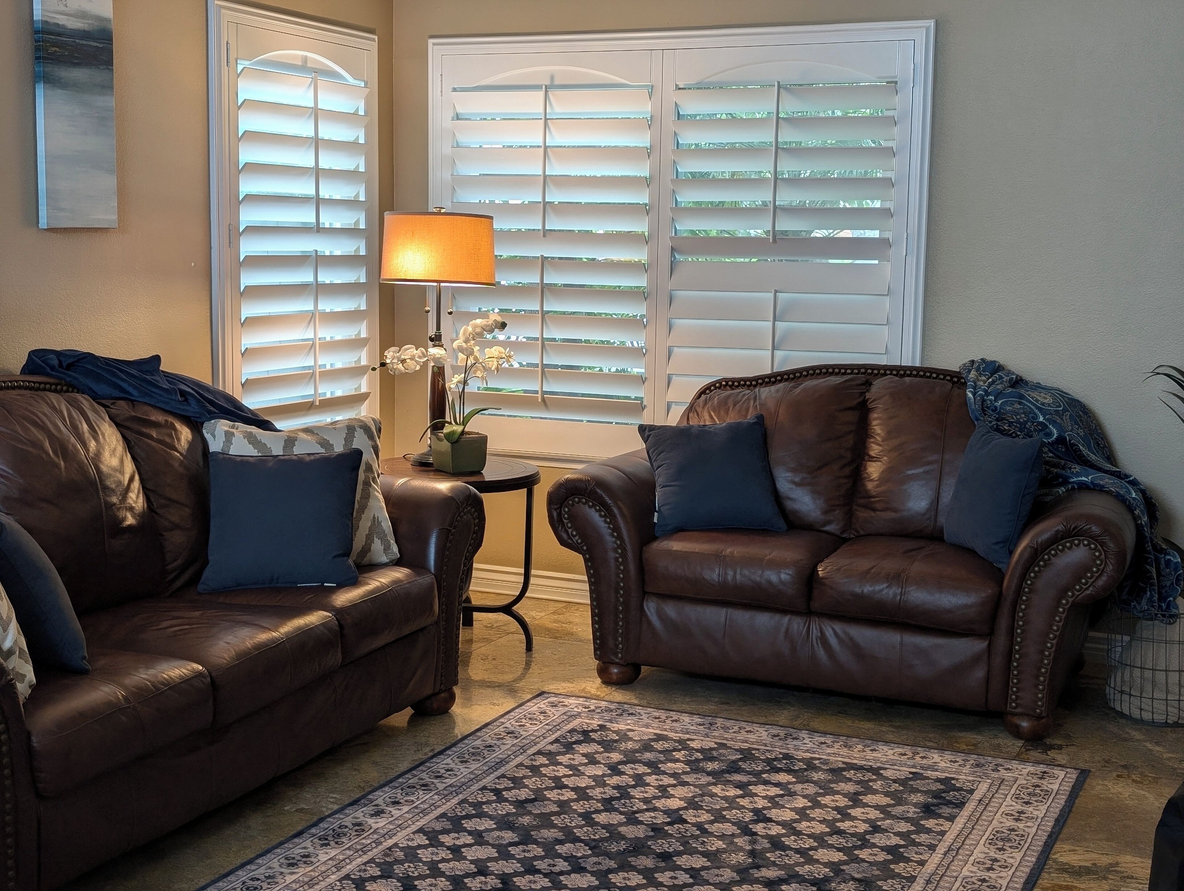 Televisor intel·ligent, llar de foc, reproductor de DVD i videoteca 