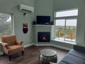 Smart TV, fireplace, books