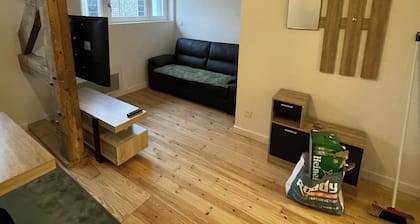 Downtown apartment