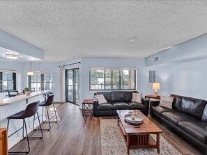 Smart TV, fireplace, books