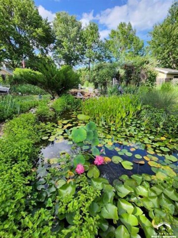 Property grounds - Sleeps 12! Main Level Primary Suite - Beautiful Backyard Oasis! (Lawrence)