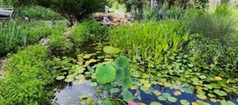 Sleeps 12! Main Level Primary Suite - Beautiful Backyard Oasis!