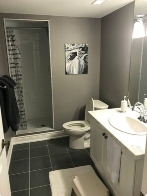 Douche, baignoire à jets, sèche-cheveux, bidet