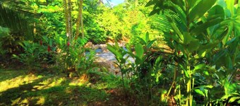 Cabin in La Fortuna with rustic finishes, river and forest