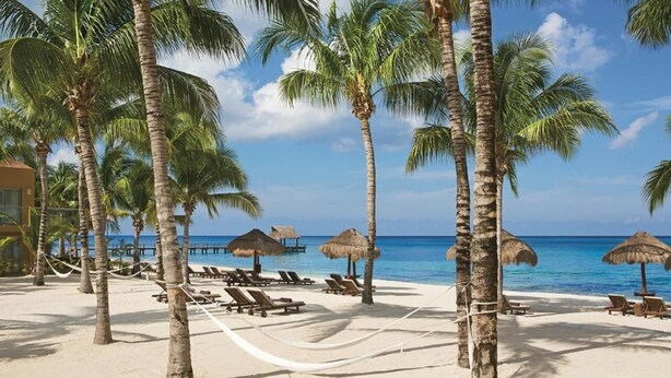 Ein Strand mit Palmen, Liegestühlen und Strohdächern.
