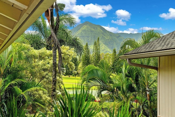A lush garden with a variety of tropical plants and a view of a mountain.