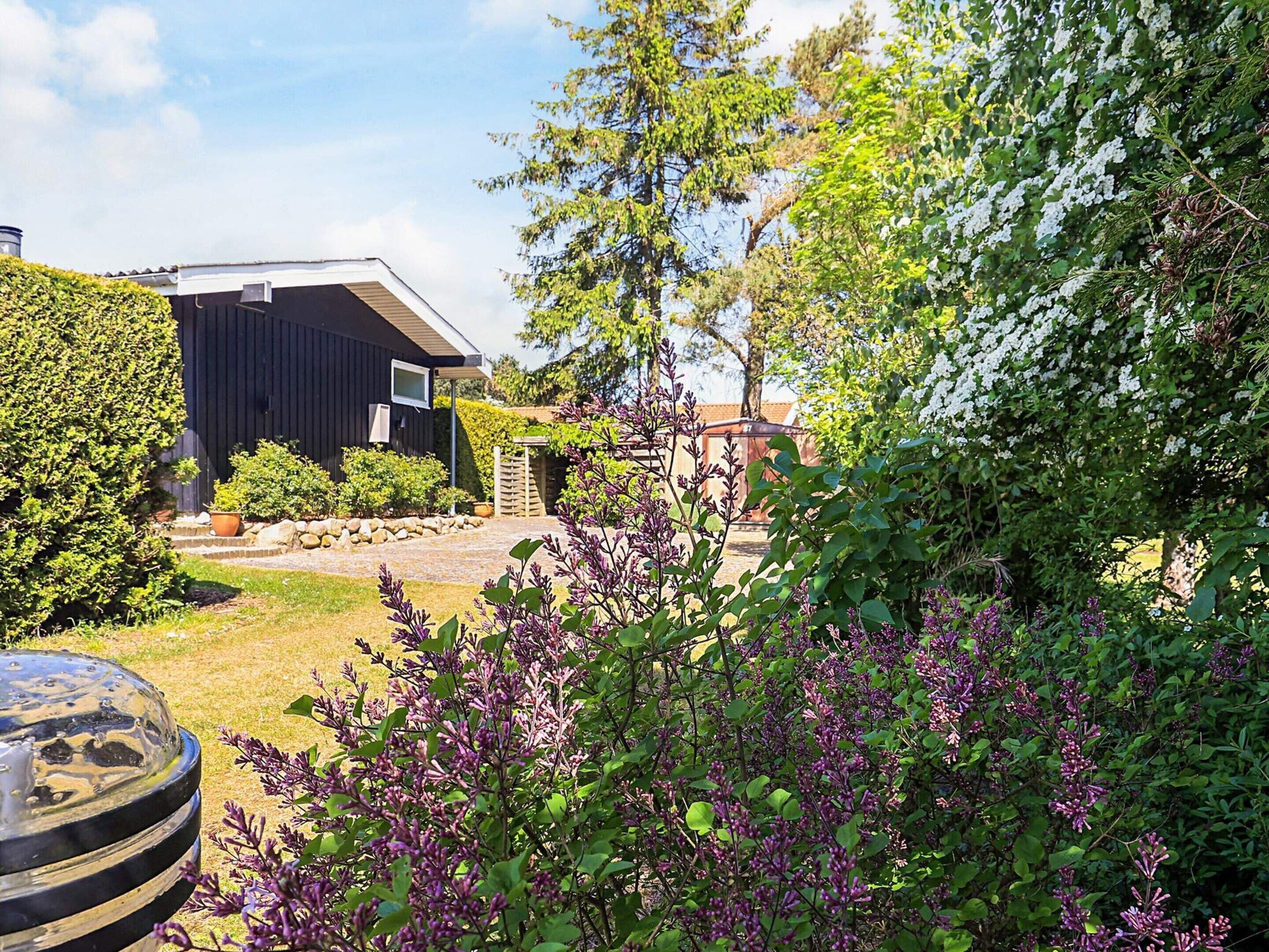 House | View from property