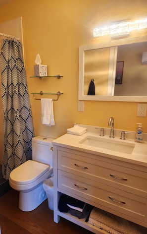 Shower, hair dryer, towels, soap - Cozy New Studio in charming Mount Vernon, Perfect for You and Your Pup (Mount Vernon)