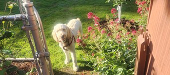 Cozy Brand New Studio  in charming Mount Vernon, Perfect for You and Your Pup