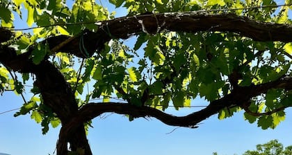 Villa La Gioconda - Con Piscina Esclusiva