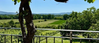 Villa La Gioconda - Con Piscina Esclusiva