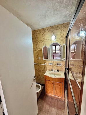 Bidet, towels, soap, toilet paper
