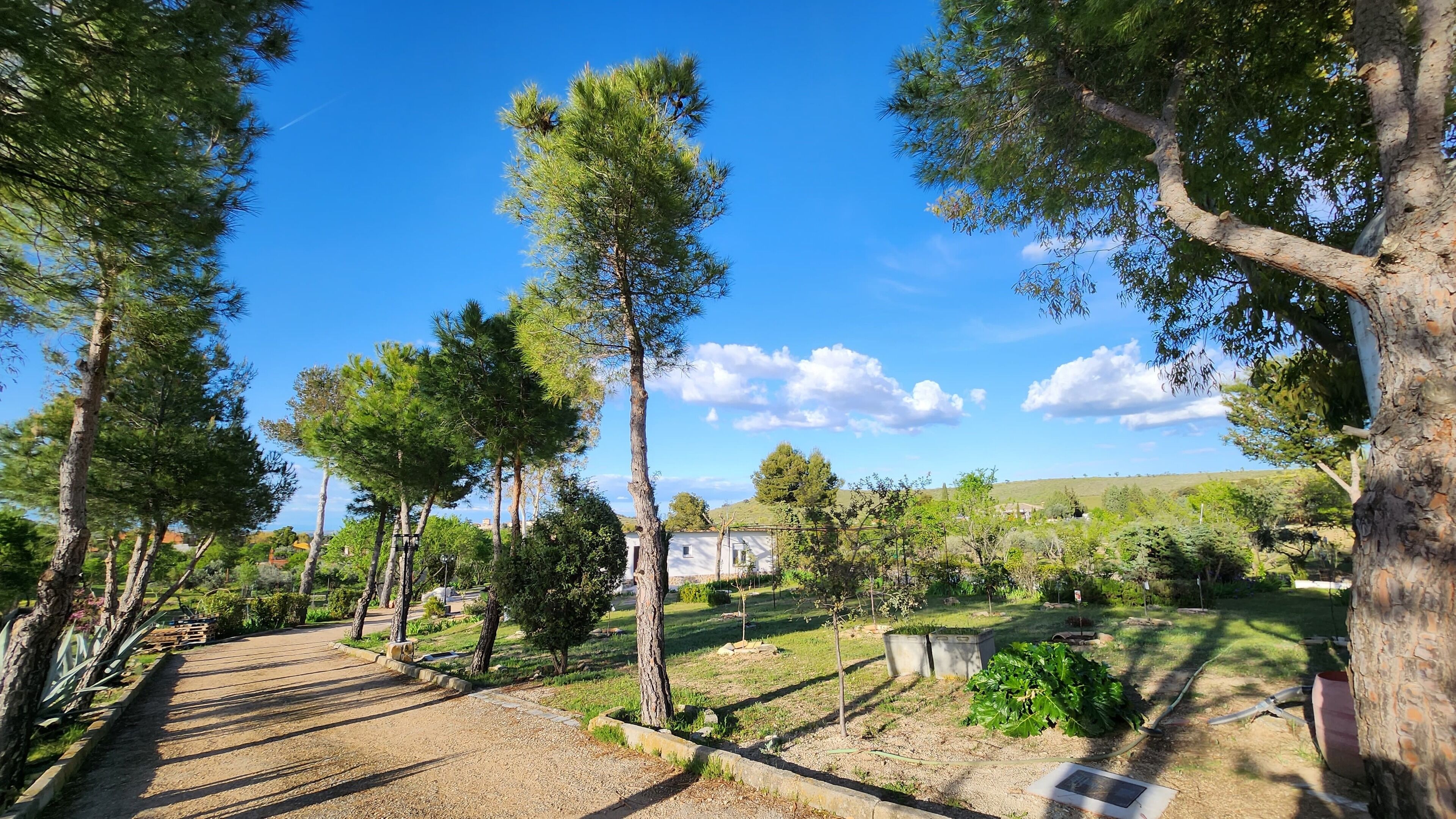 A rural landscape with a gravel path, trees, and a distant view of houses.