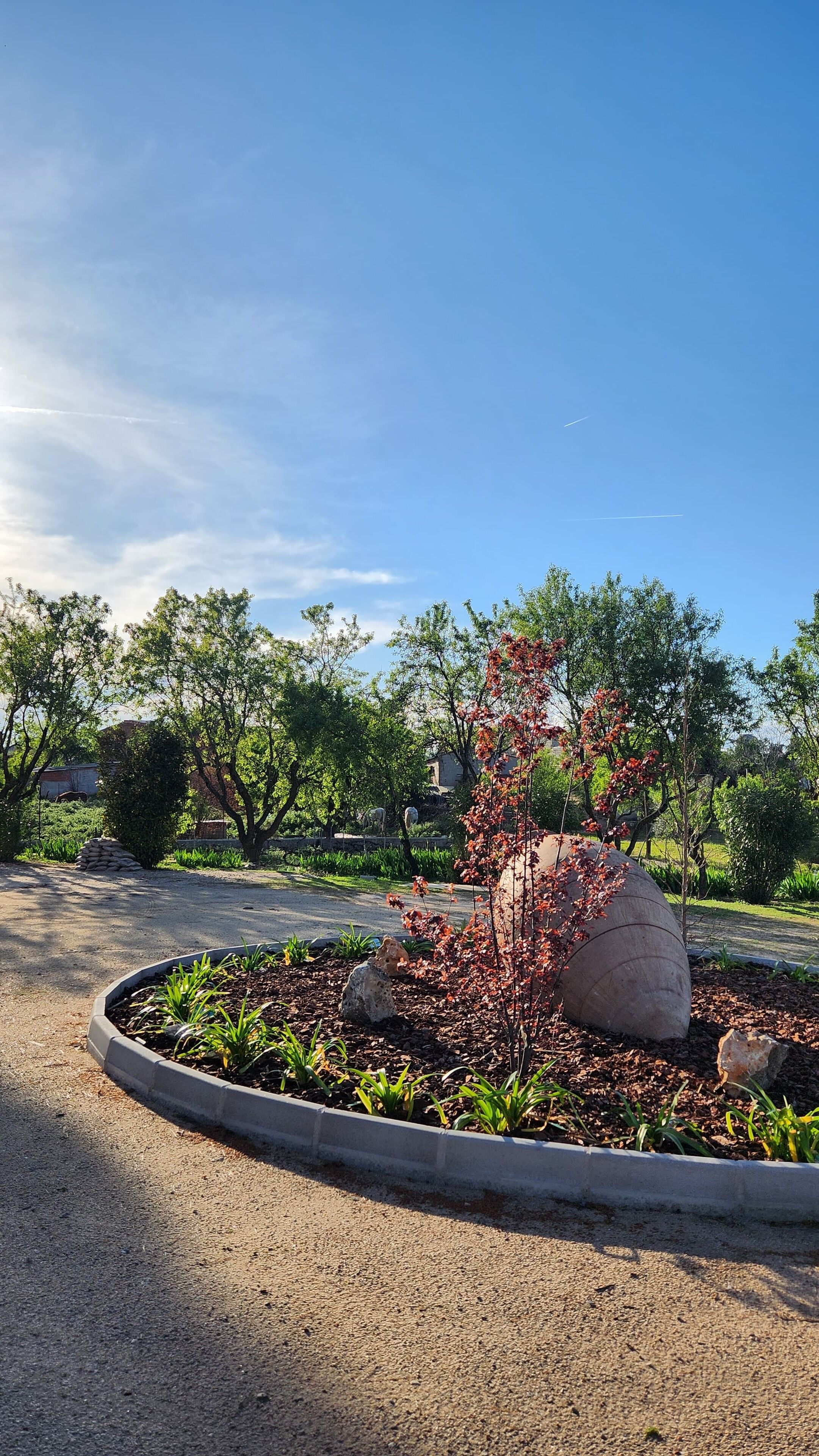 Un jardín ajardinado con un parterre circular, una roca grande y diversas plantas.