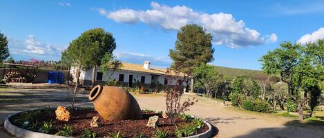 A rustic outdoor area with a large clay pot, a small tree, and a building with a tiled roof.