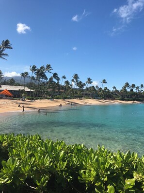 Tumbonas y toallas de playa