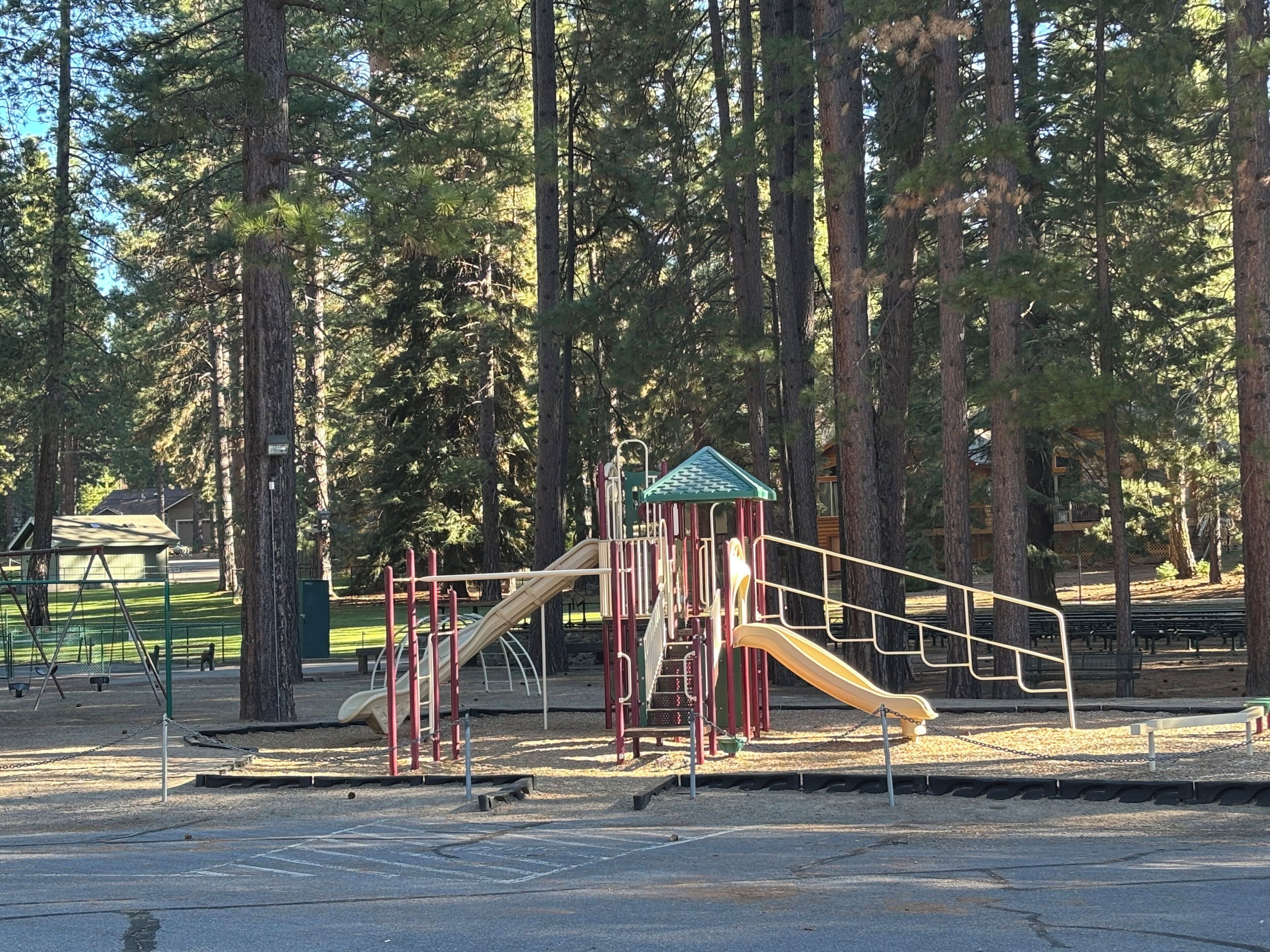 A playground with slides and swings, surrounded by tall trees.