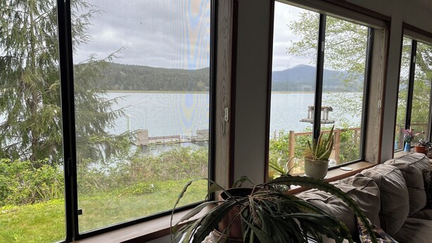 A room with large windows overlooking a lake and forest. There is a sofa and a potted plant in the foreground. - Spacious river facing 4-bedroom house in charming Waldport with WiFi. (Waldport)