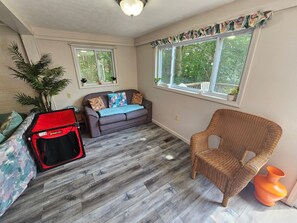 Smart-tv, dvd-spelare och ett filmbibliotek