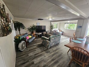 Smart TV, DVD player, video library