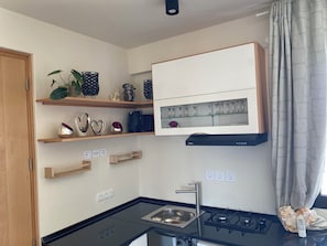 Oven, stovetop, dishwasher