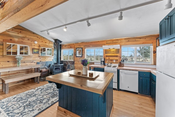 Fridge, oven, stovetop, dishwasher