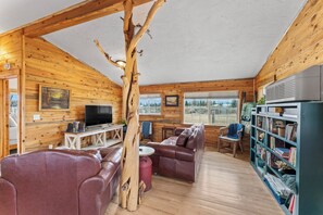 Smart TV, fireplace, books