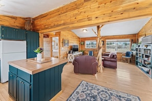Smart TV, fireplace, books