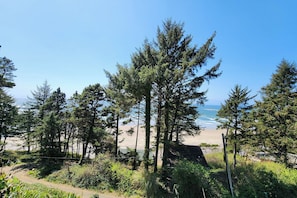 Una spiaggia nelle vicinanze