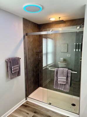 Shower, towels, soap, toilet paper - The Blue Riverside Home in Oconto (Oconto)