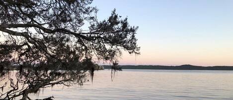A calm lake with a tree branch extending over the water.