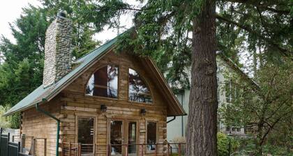 Villa Lake Waterfront Estate with a Log Cabin