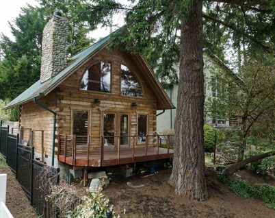 Villa Lake Waterfront Estate with a Log Cabin