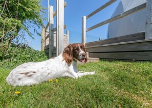 Animaux de compagnie acceptés