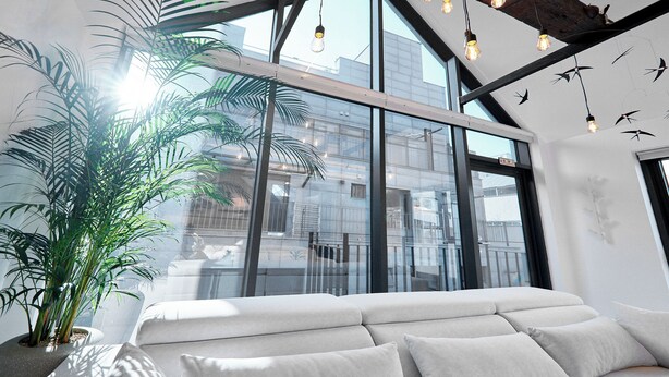 Une pièce moderne avec une grande fenêtre, un canapé blanc et une plante en pot.