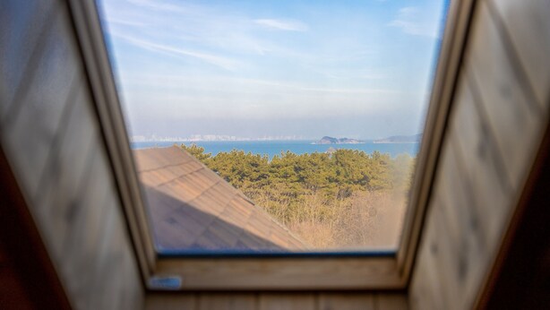 Vista a través de una ventana con marco de madera, que muestra un paisaje costero con árboles y un horizonte urbano distante.