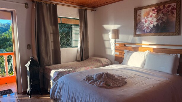 Ein Hotelzimmer mit zwei Betten, einem großen Fenster mit Vorhängen, einem Blumenbild und Blick auf Grün.