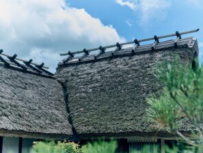 Landuitzicht vanuit accommodatie