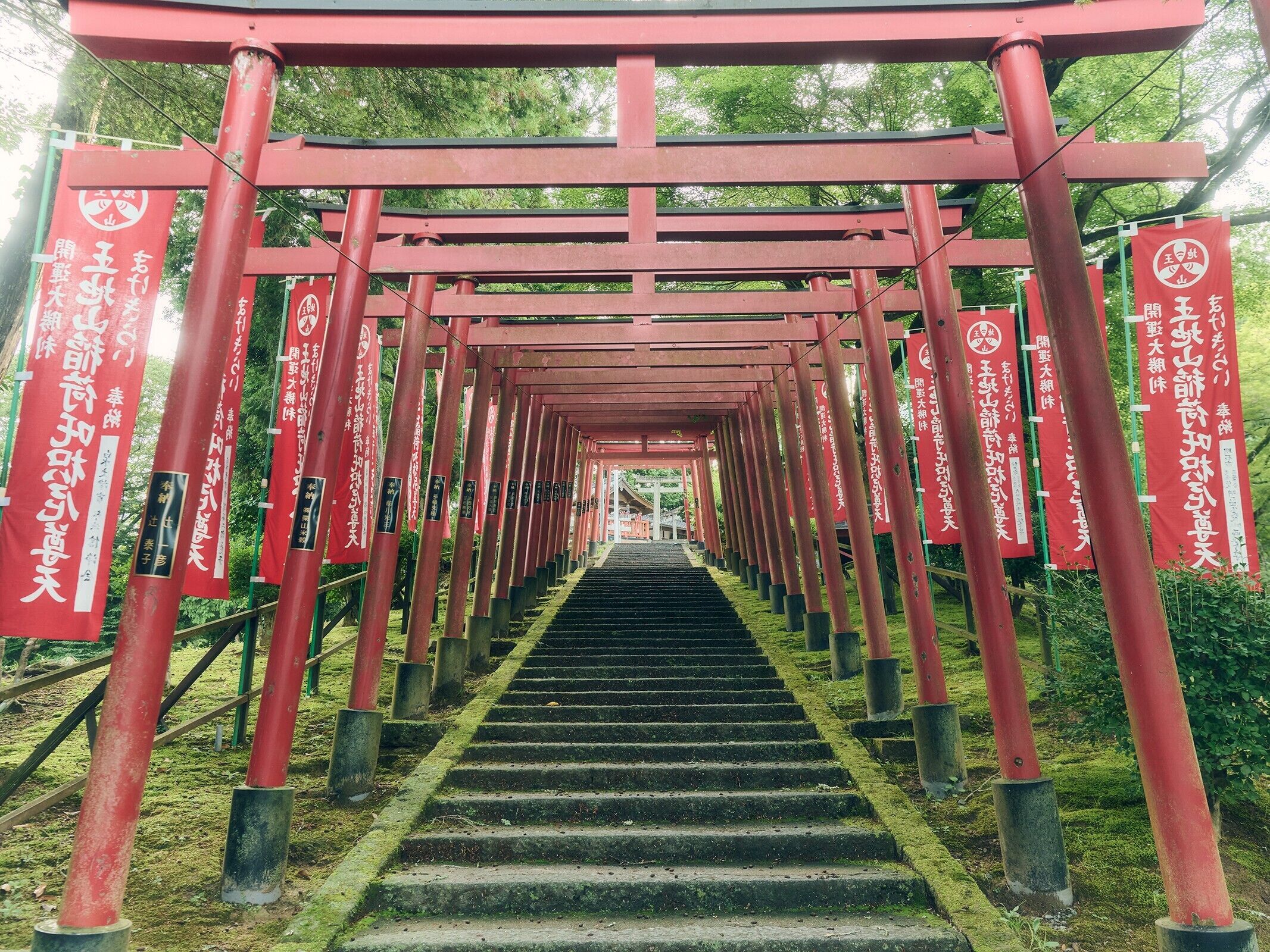Un sentier menant à un sanctuaire orné de piliers et de bannières rouges.