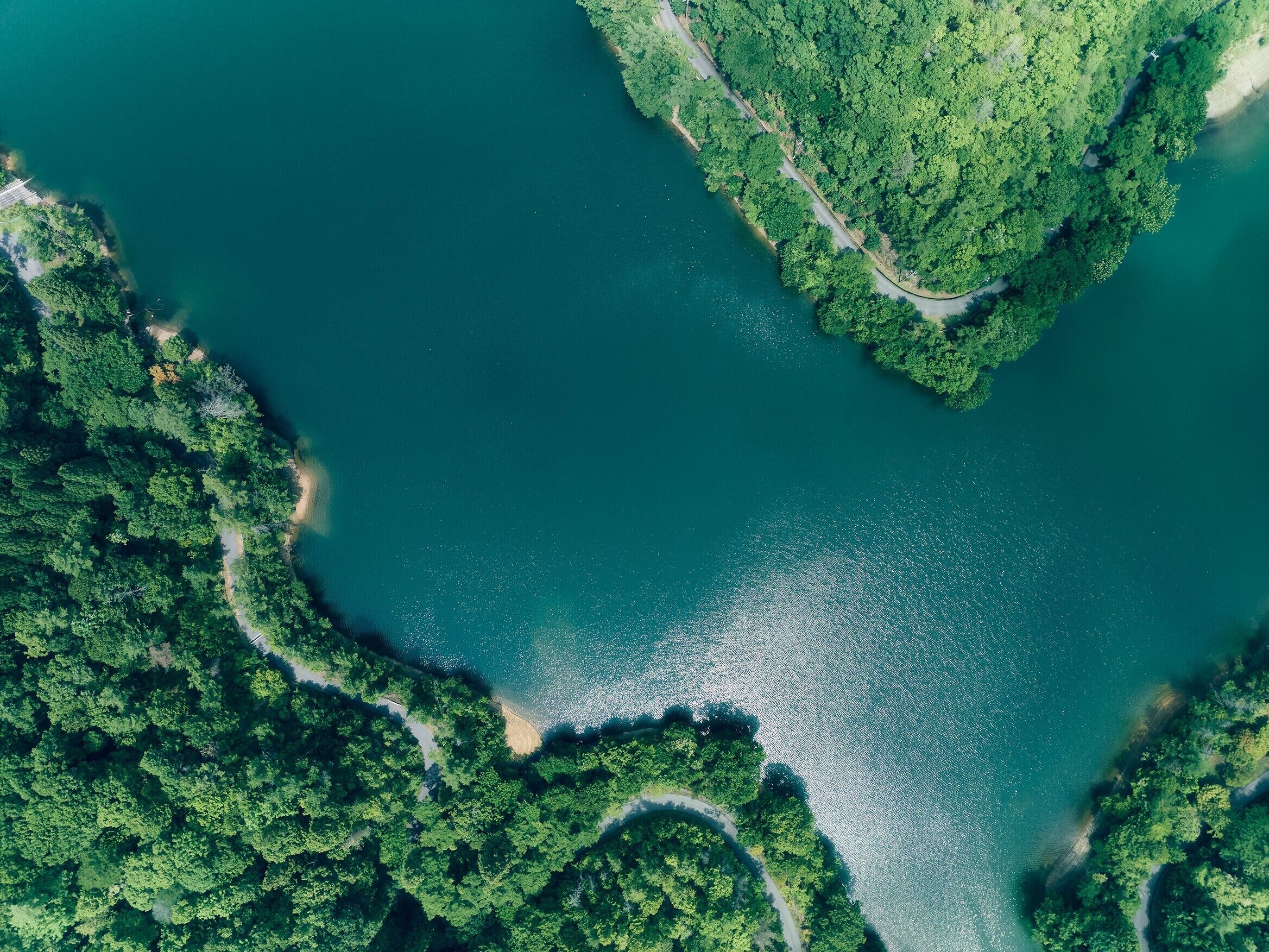 An aerial view of a forested area with a winding road and a body of water.
