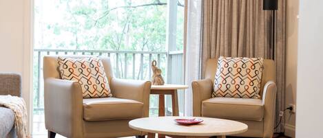 TV connectée, cheminée, lecteur de DVD