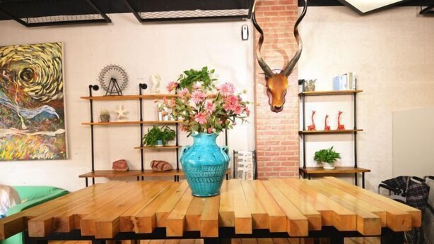 A wooden table with a blue vase of flowers, surrounded by shelves with decorative items and a wall-mounted animal skull. - Shijiangzhuang Youjia Inn Eryuan Branch (Shijiazhuang)