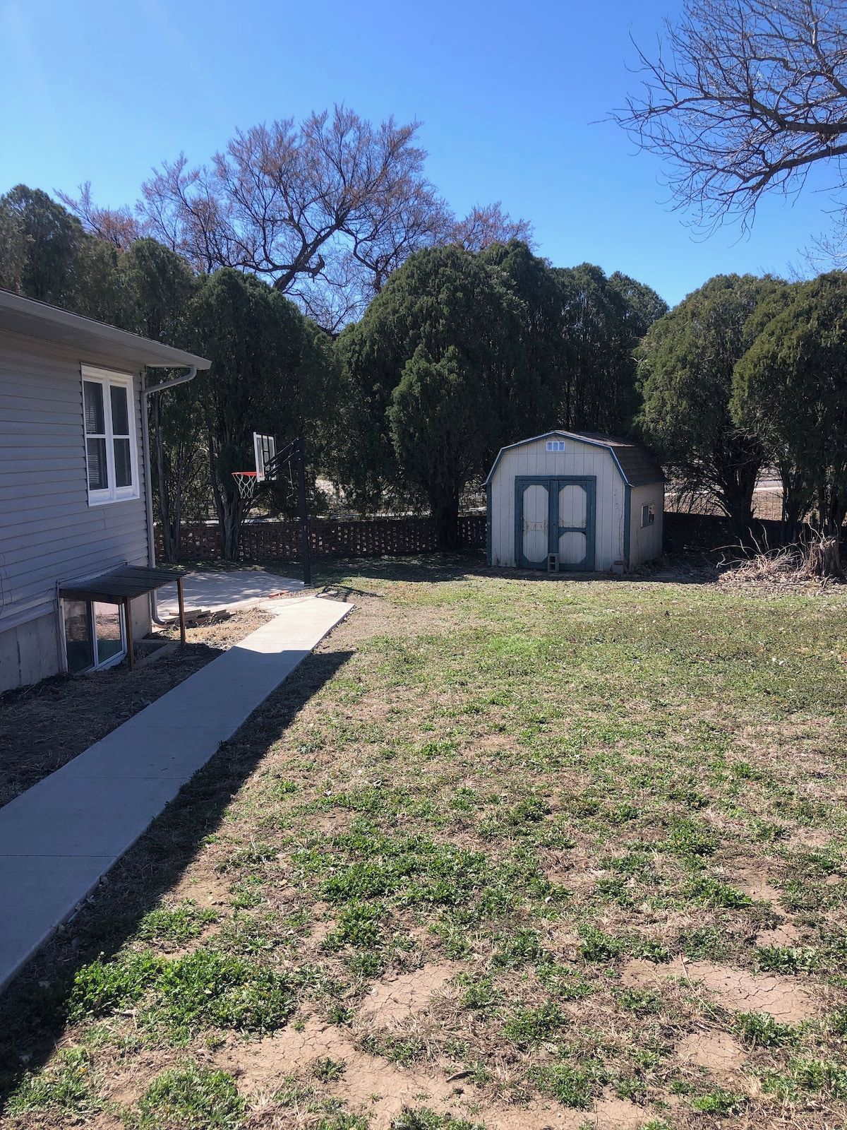 A residential backyard with a house, a shed, a basketball hoop, and a concrete pathway.