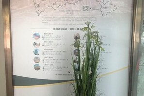 Interior - Yayuan Tanglang Hotel (Shenzhen Xili, Southern University of Science and Technology) (Shenzhen)