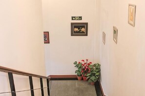 A staircase with a handrail, a potted plant, and framed pictures on the wall.