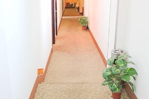 A carpeted hallway with potted plants and a gas cylinder.
