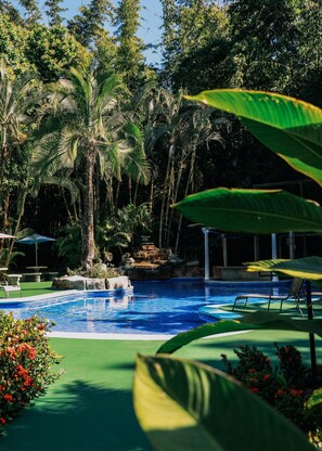 A swimming pool surrounded by lush greenery and palm trees. - Hotel el Páramo (Paramo)