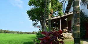 Terrain de l’hébergement 